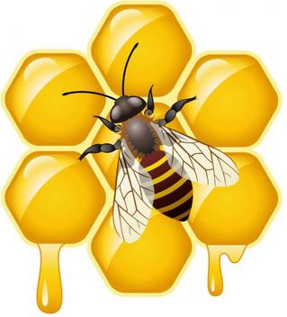 Abeille