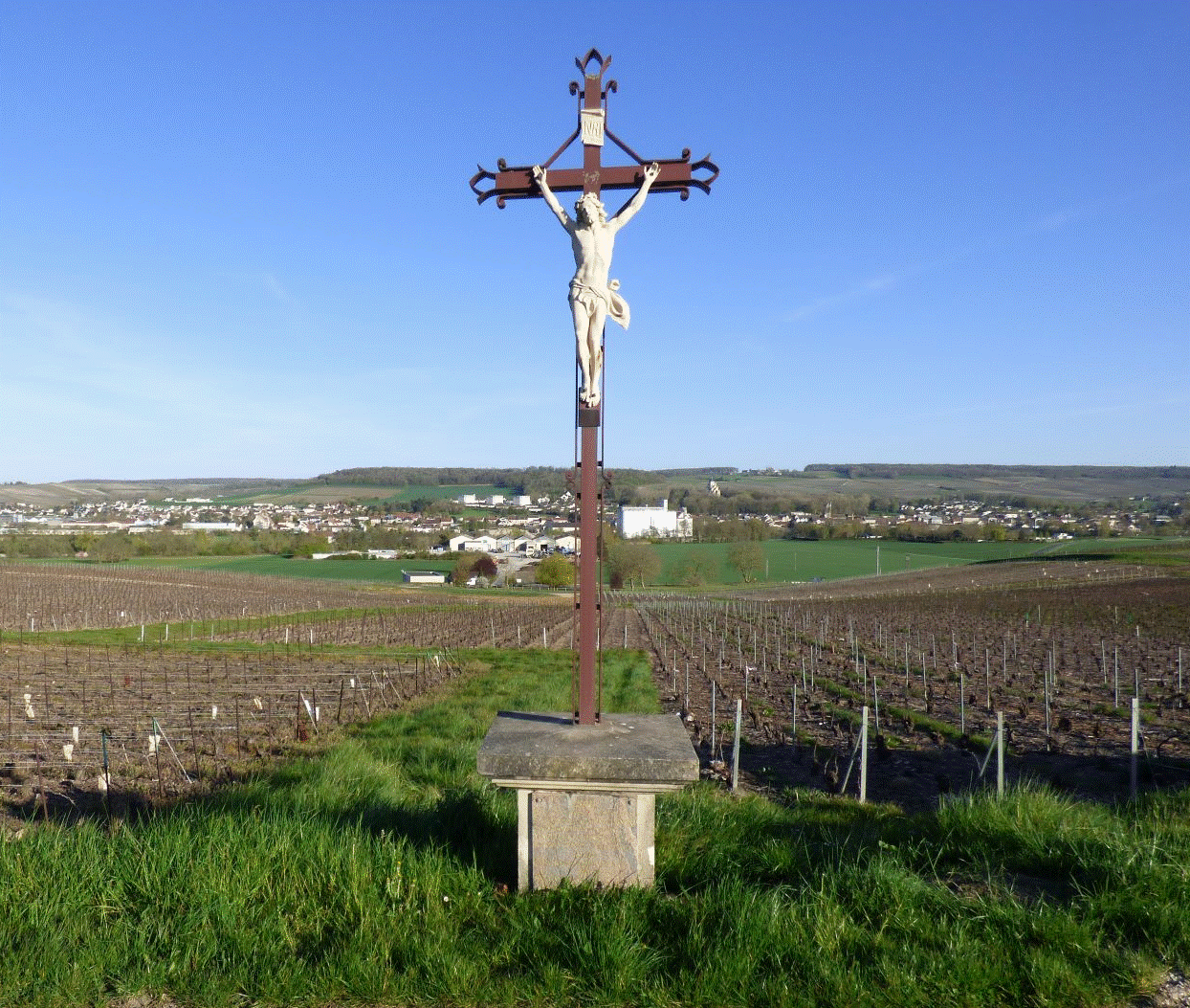 Croix phylo