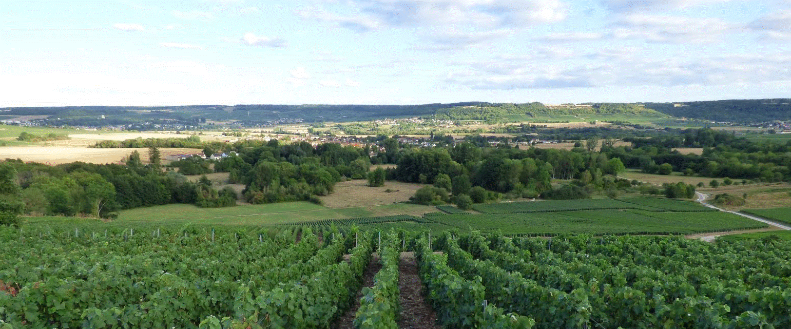 Trélou vu des coteaux