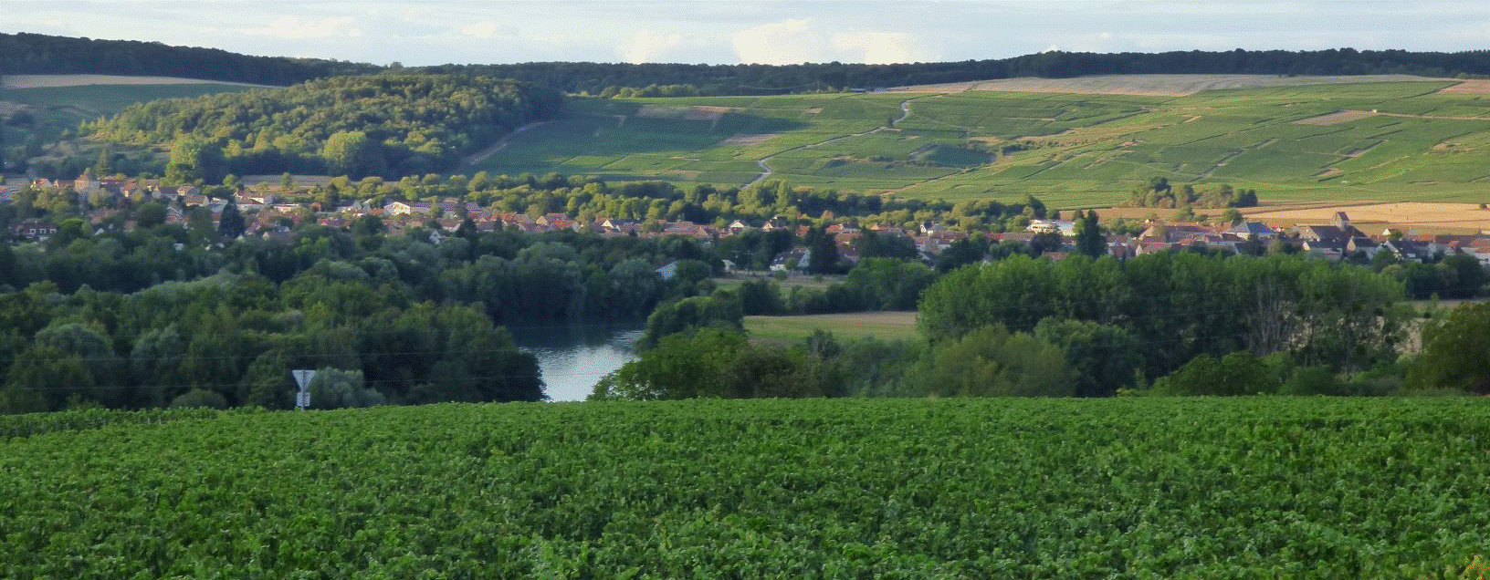 trelou vue de Courthiezy